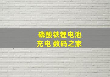 磷酸铁锂电池充电 数码之家